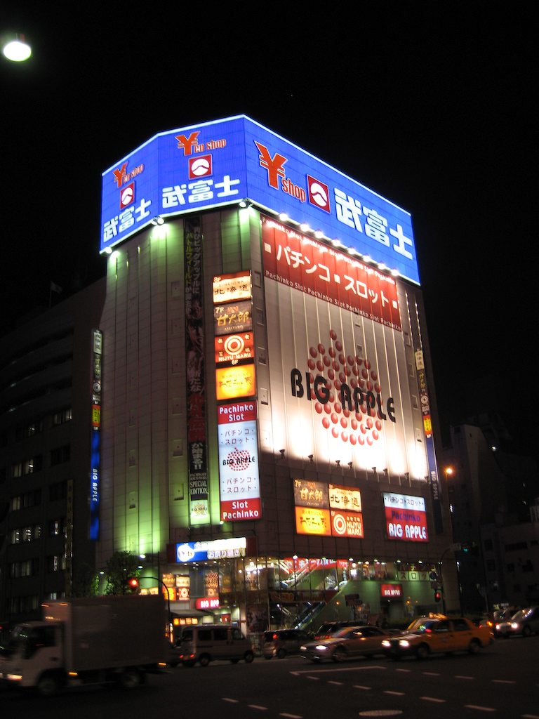 061220 Tokyo Totoro Electronic City Japan
